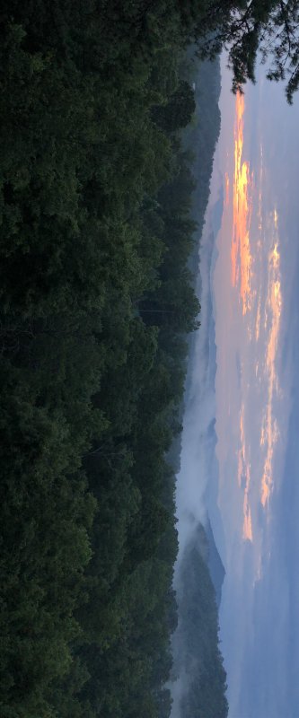 IMG 0785
